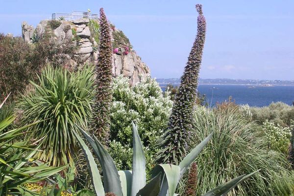 Jardin Exotique de Roscoff