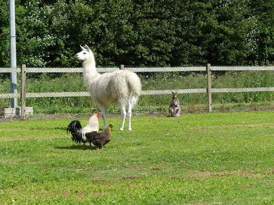 Parc animalier la ferme du point du jour pour site