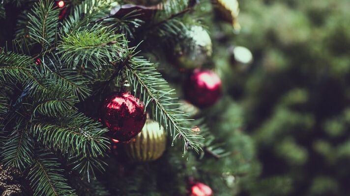 Sapin noel ©TJ Holowaychuk