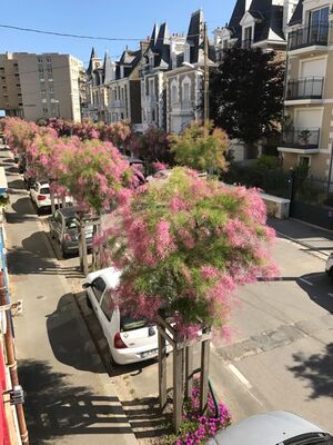 VILLA ESPERANTO.vue rue.StMalo