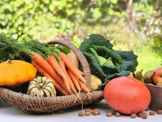 Légumes de saison