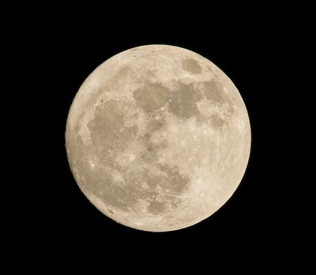 Observation lune © Pedro Lastra - Unsplash
