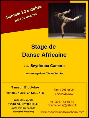 affiche-stage-Seydouba-image