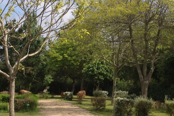 Camping Le Dolmen