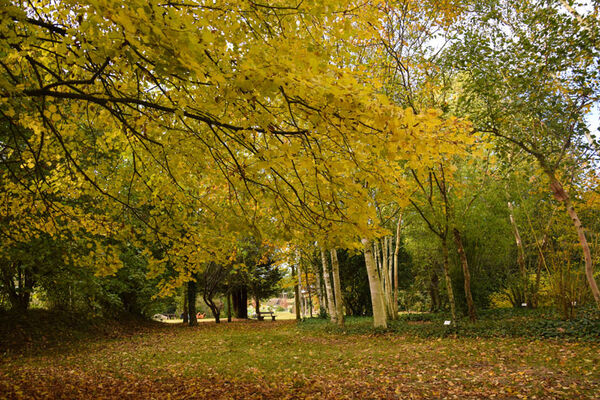Les Jardins de Brocéliande