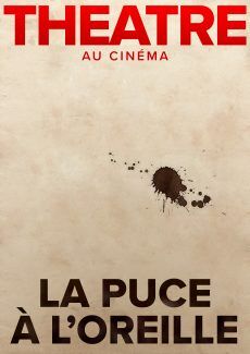 puce-a-oreille-17-10-19-2