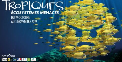 tropiques--OCT-19