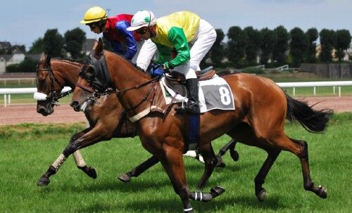 courses hippiques - Saint-Malo - saison 2018.jpg