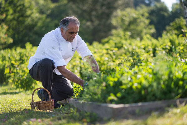 Les Jardins Sauvages