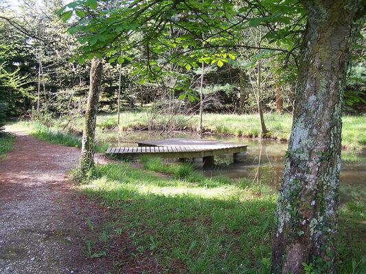 Mare ARBORETUM Cardeilhac(1)