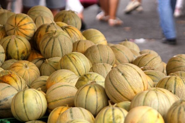 Melonsweb