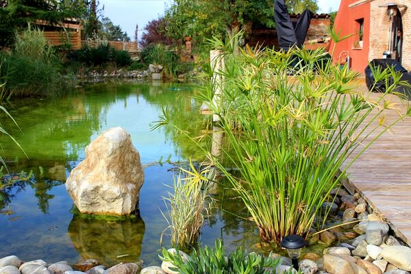 Merville-ChateauFourclins-800x600--4-