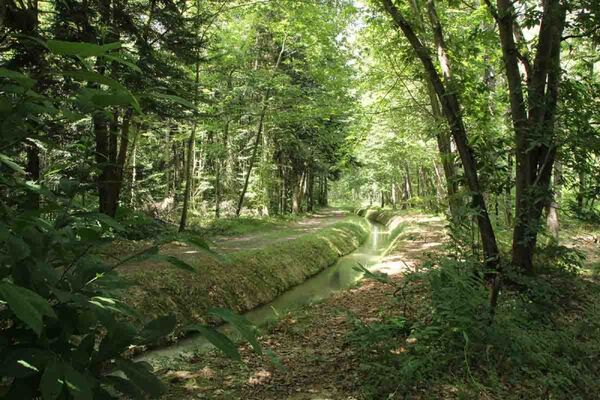 ARBORETUM Cardeilhac (7)