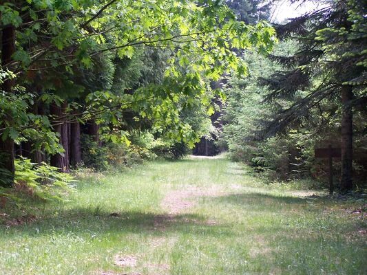 ARBORETUM Cardeilhac (2)