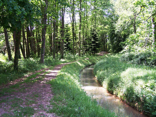 ARBORETUM Cardeilhac (3)