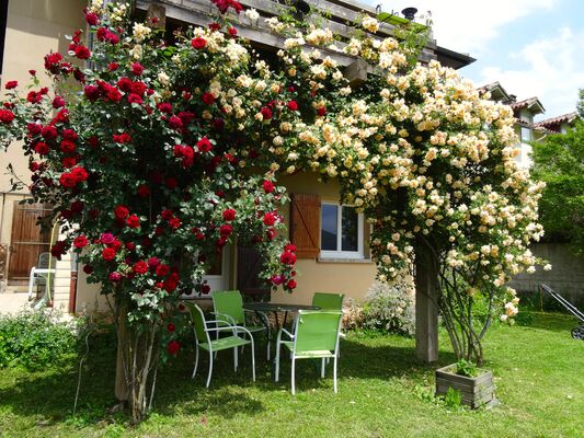 Appartement Montréjeau - Terrasse