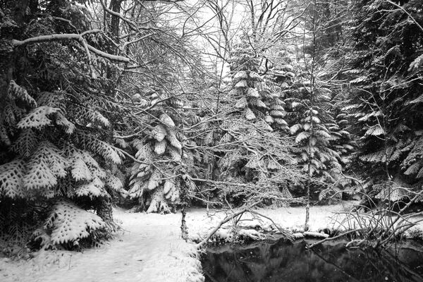 Arboretum CARDEILHAC