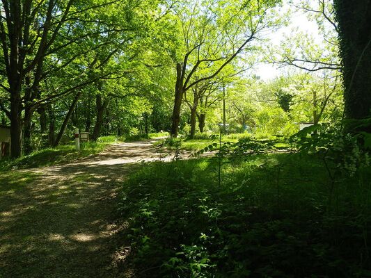 Camping 4 MONTMAURIN