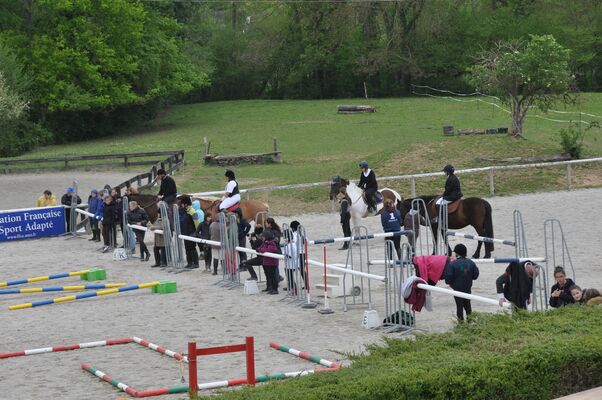 Centre equestre bosquet 2 MANE