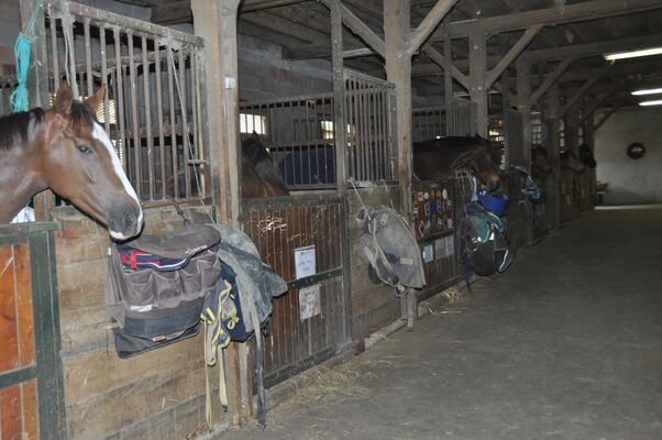 Centre equestre bosquet MANE