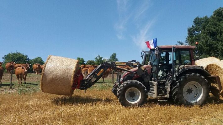 Champs-des-filhols-Ferme-la-Colombe-VILLEMUR-SUR-TARN