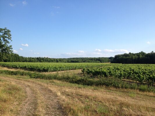 Chateau Binest - Bouloc