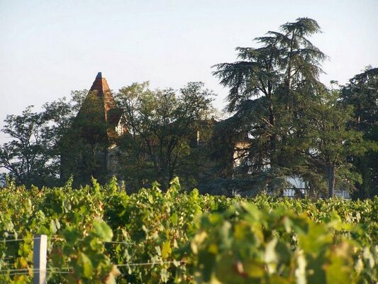 Chateau La Loge1