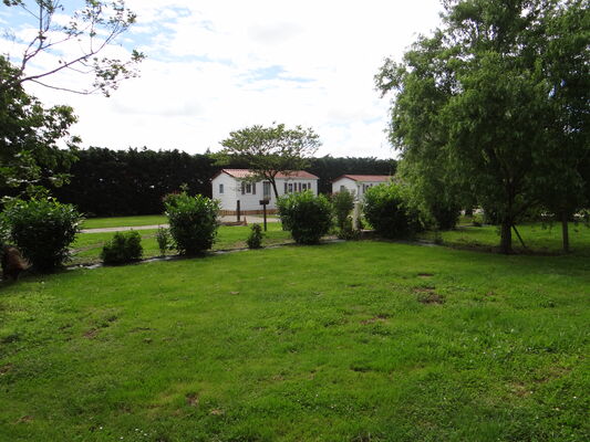 DSC07416