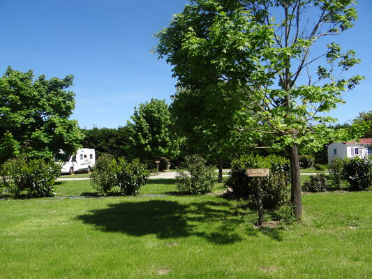 DSC09185