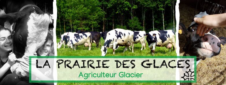 Exploitation-La-Prairie-des-glaces-BUZET-SUR-TARN