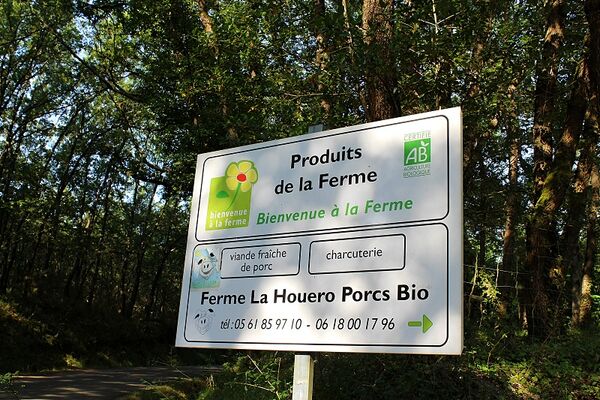 Ferme_aux_chochons-bio-credit-OTHautsTolosans (8)