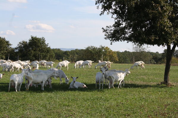 Ferme de Cabriole