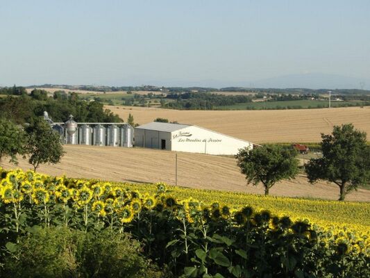 Ferme web