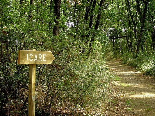 Foret-bouconne-credit-SMAF-Bouconne--1-