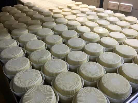Fromagerie Marzac Tommes