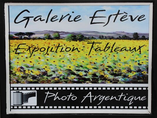 Galerie Estève