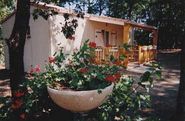 HLOMIP031CM00857_1