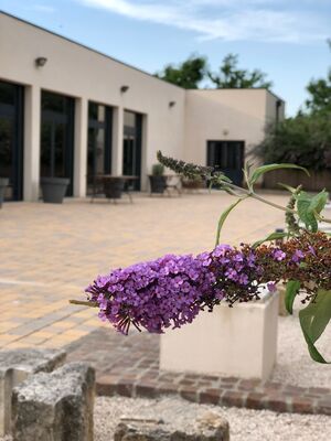 OTIVOLVESTRE LA TERRASSE