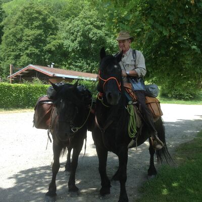 La Chasse Aux Papillons