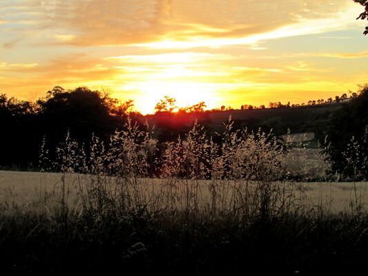 IMG_0924WEB