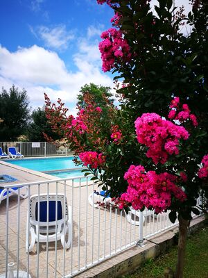 IMG_20170728_132053