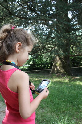 randocaching