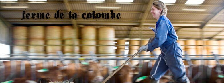 Image-presentation-Ferme-La-Colombe-VILLEMUR-SUR-TARN