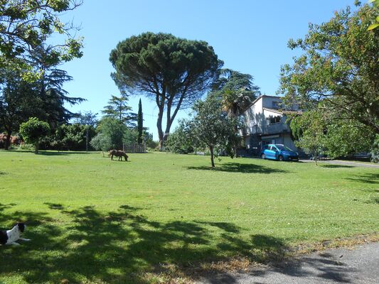 La-Rocaille-Marquefave-