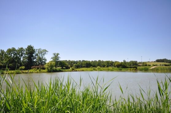 Lac L'Isle en dodon