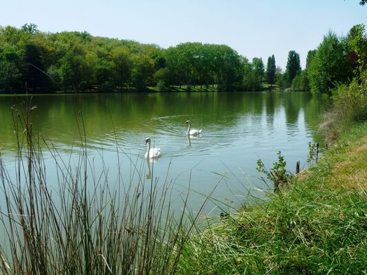 Lac de Boulogne ©Mairie BOULOGNE