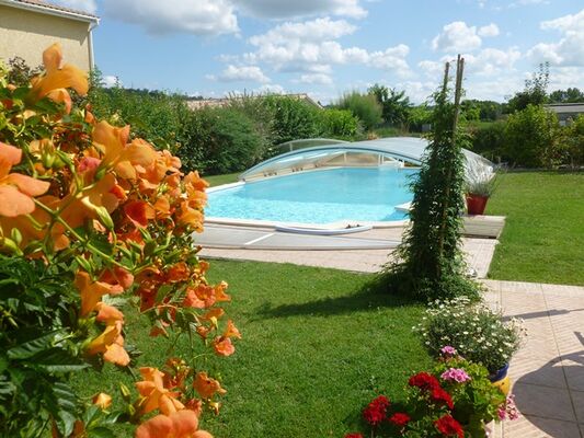 Les coquelicots
