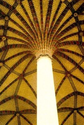 Palmier cloitre jacobin TOULOUSE