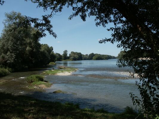 Parc du Confluent 1 PORTET