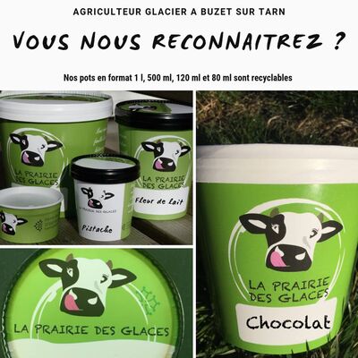 Pots-de-glaces-La-Prairie-des-Glaces-BUZET-SUR-TARN